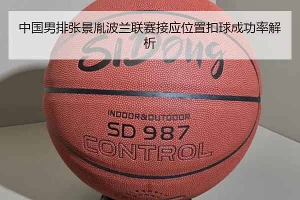 中国男排张景胤波兰联赛接应位置扣球成功率解析