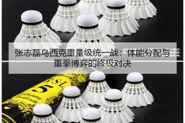 张志磊乌西克重量级统一战：体能分配与重拳博弈的终极对决