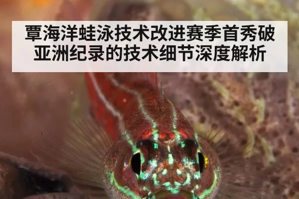 覃海洋蛙泳技术改进赛季首秀破亚洲纪录的技术细节深度解析